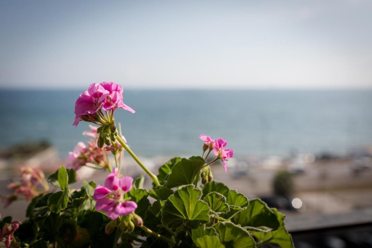 Salsedine Sea View Bed & Breakfast Salerno Dış mekan fotoğraf